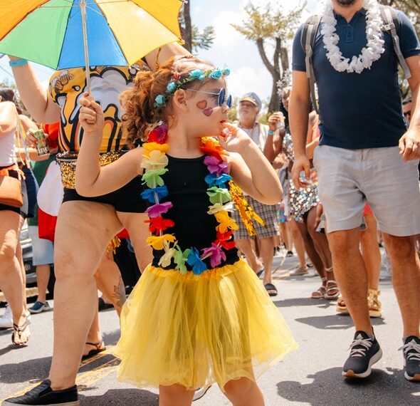 Meu Carnaval Tá na Rua