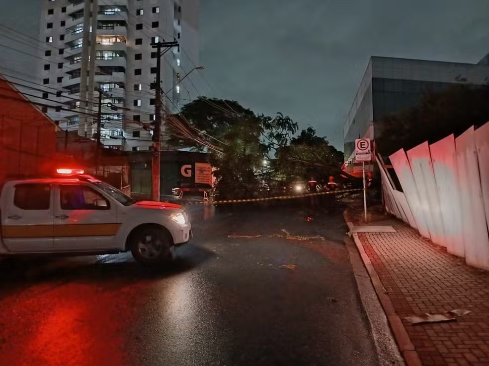 Chuva causa alagamentos e derruba árvore no Alto Tietê