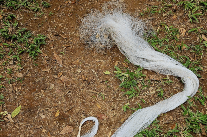 GCM Ambiental - Parque Serra do Mar São Bernardo