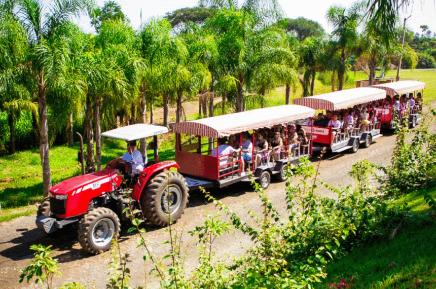 Turismo Rural - Itu - Parque Maeda