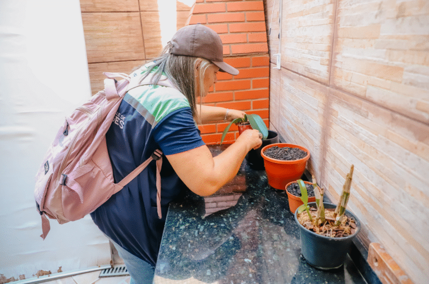 Mutirão - Dengue em São Bernardo