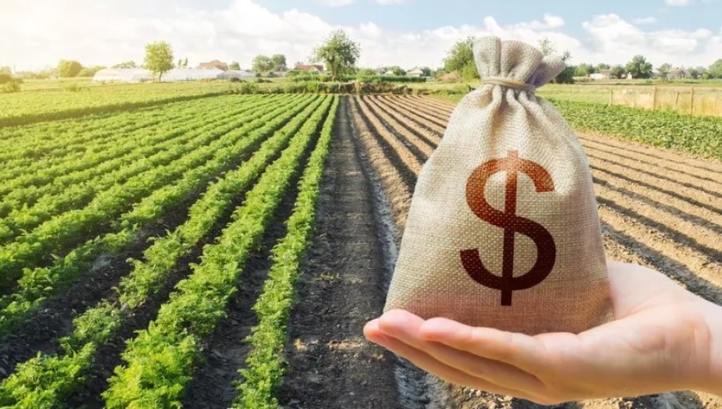 Plano Safra 2025-26 recebe R$ 15,3 bilhões do BNDES