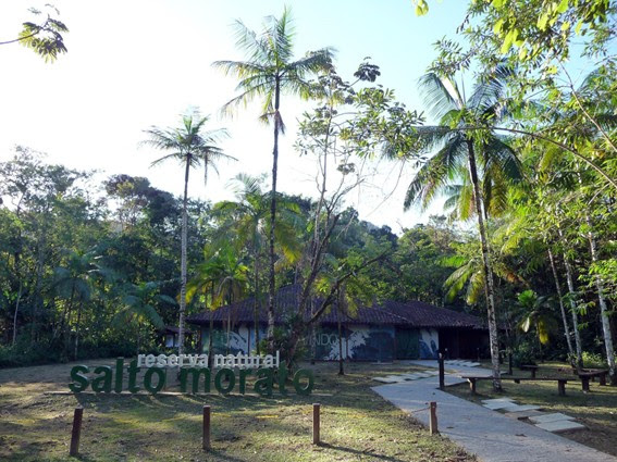 7 trilhas para fazer com crianças nestas férias