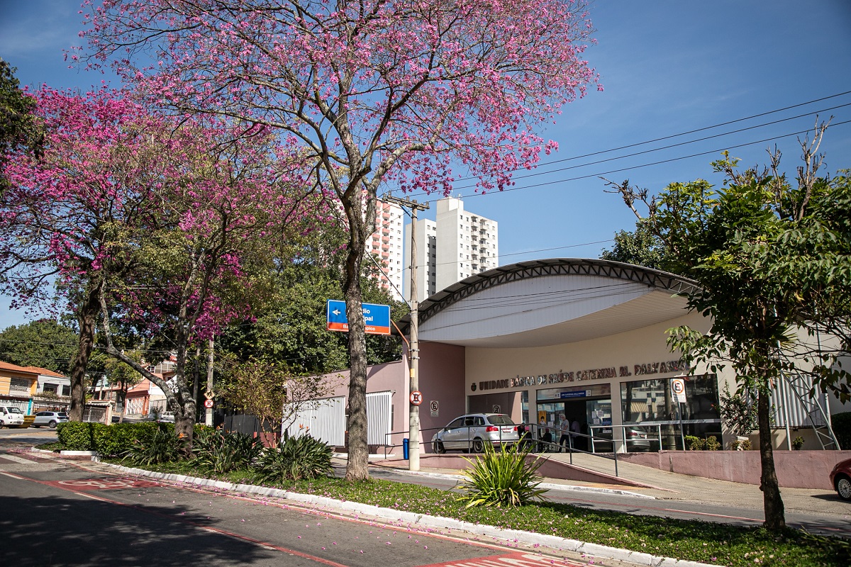 SCS intensifica exames e prevenção do câncer de colo de útero