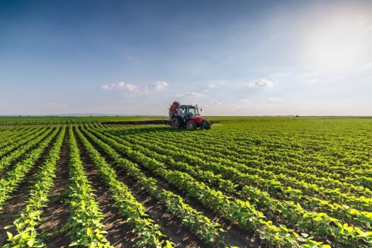 Entidades alertam para queda de 20% no uso de fertilizantes