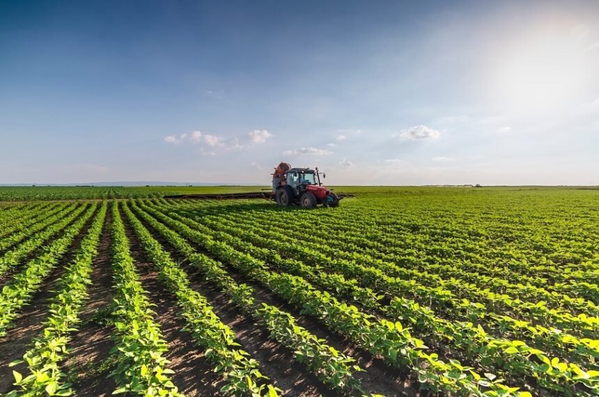 SP impulsina agricultura fertilizantes