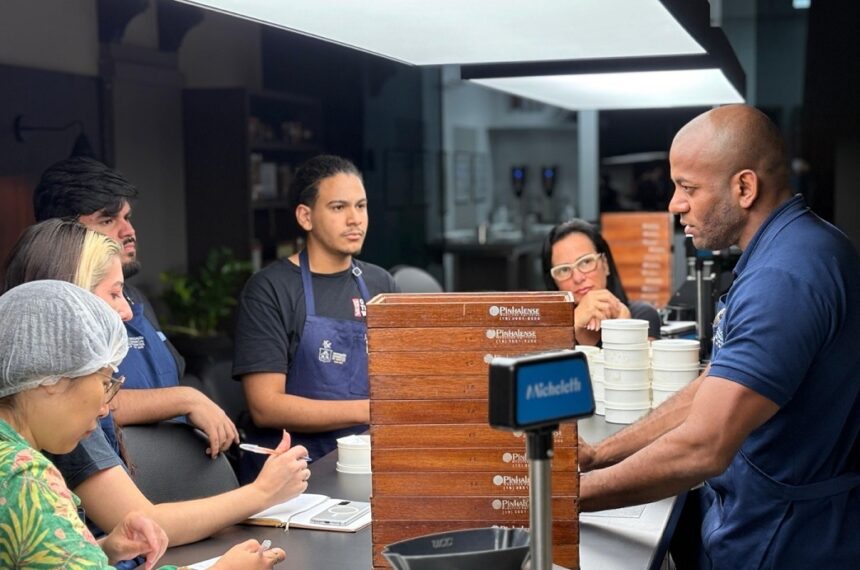 Curso de classificação e degustação de café em Santos - Divulgação