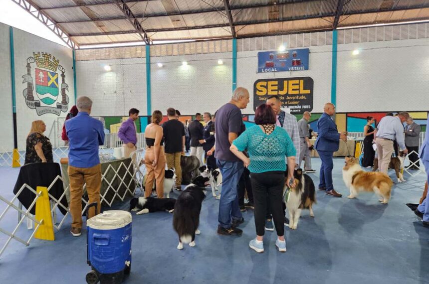 Exposição de Cães de Raça Pura