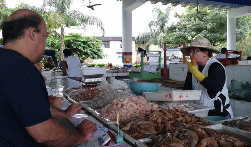Mercado Municipal de Peixes de Ubatuba