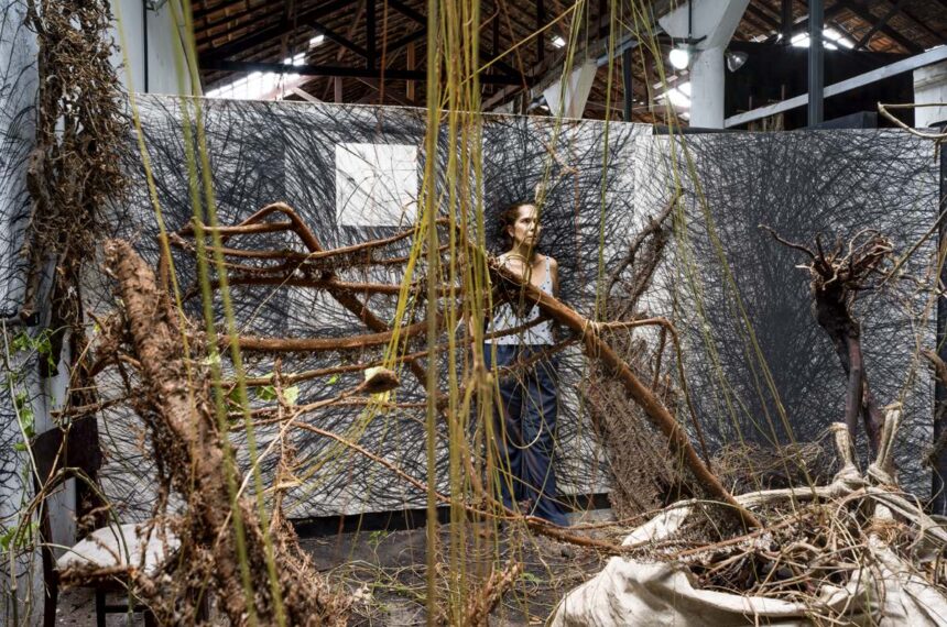 Funarte SP - Vera Martins