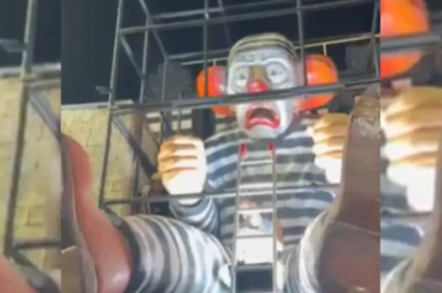 Bolsonaro - Lula - Polarização Política - Acadêmicos de Niterói