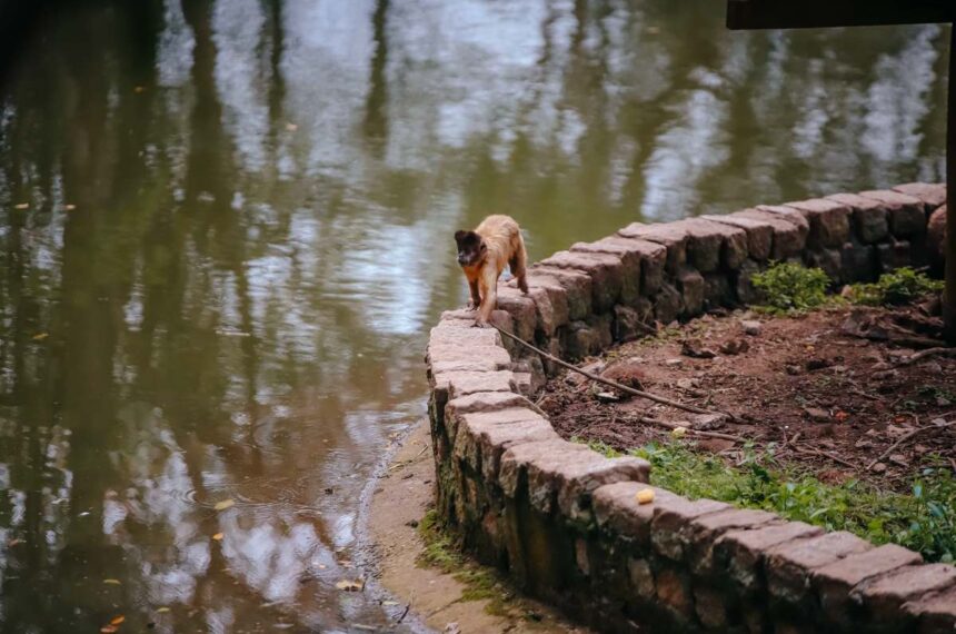 Parque Estoril - Zoo