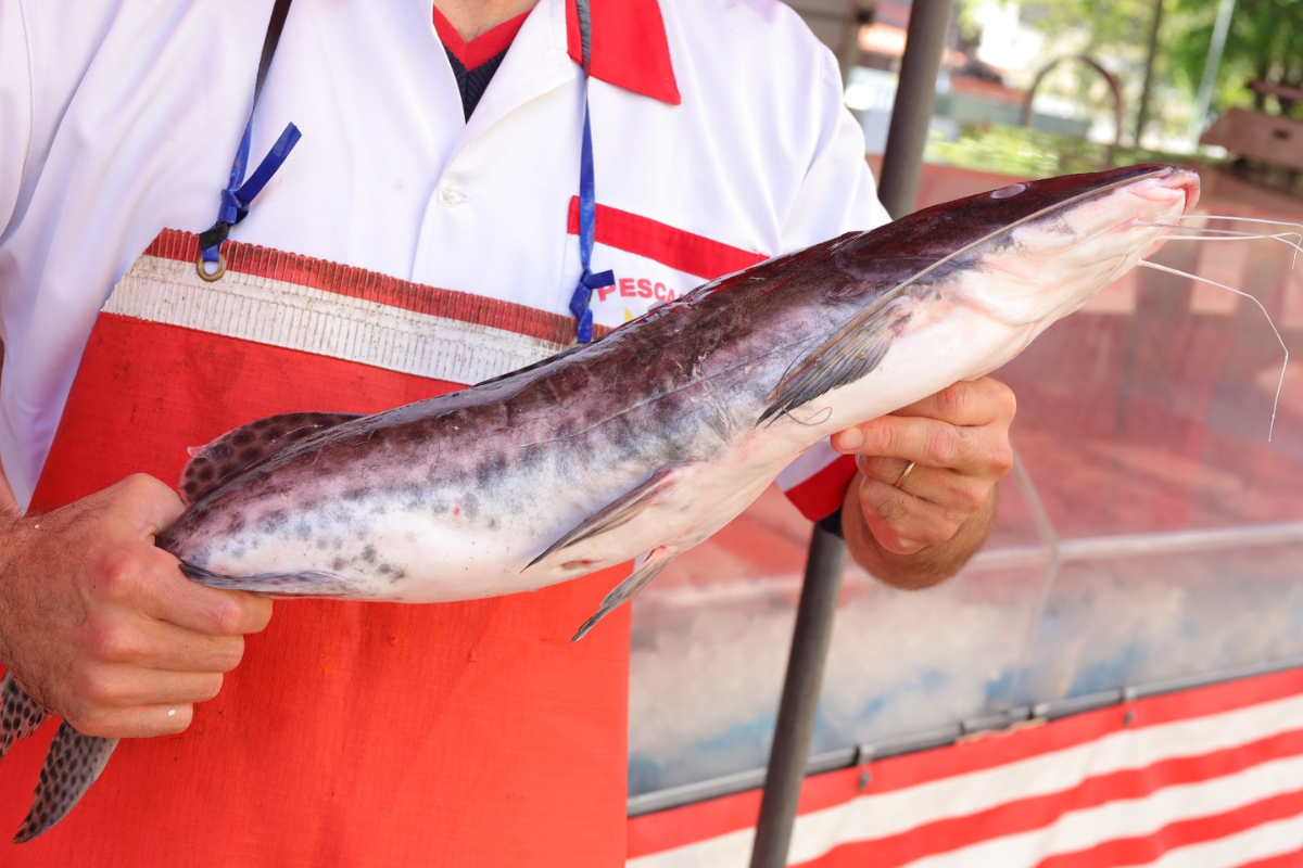 Época de páscoa traz alerta da saúde de SP sobre pescados