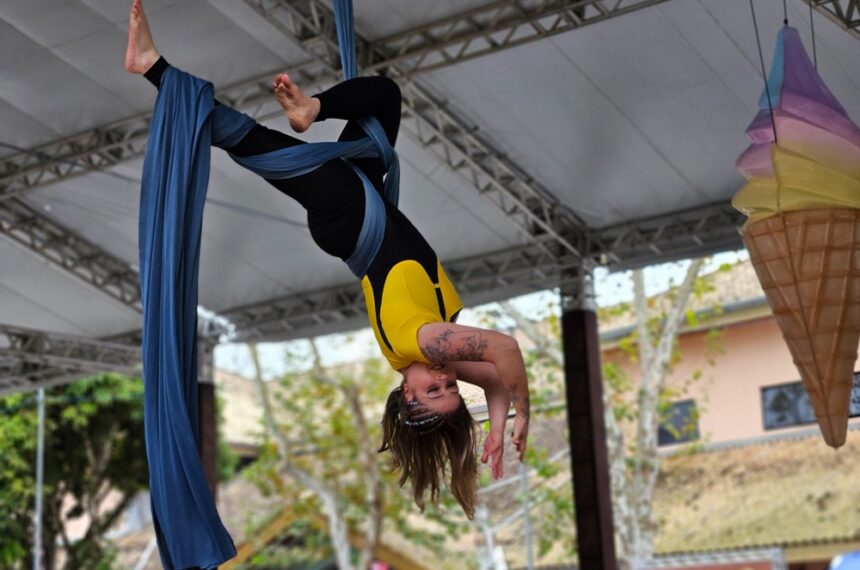 Circo