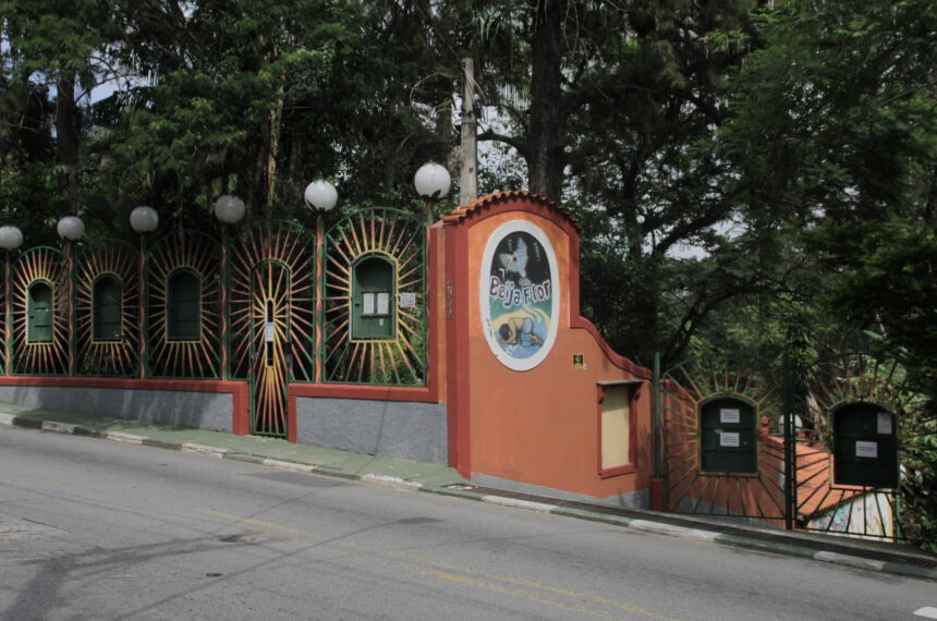 Projeto Meninas Valentes oferta ensino superior a jovens