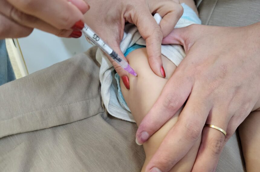 vacina - vacinação