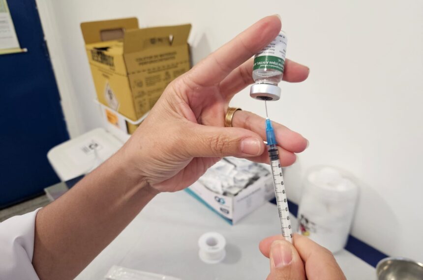 vacina - vacinação