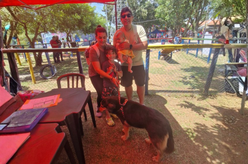 Ame Adoções - Mauá - Troca Verde