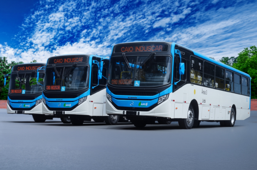 Caio em Brasília - Mercado Brasileiro