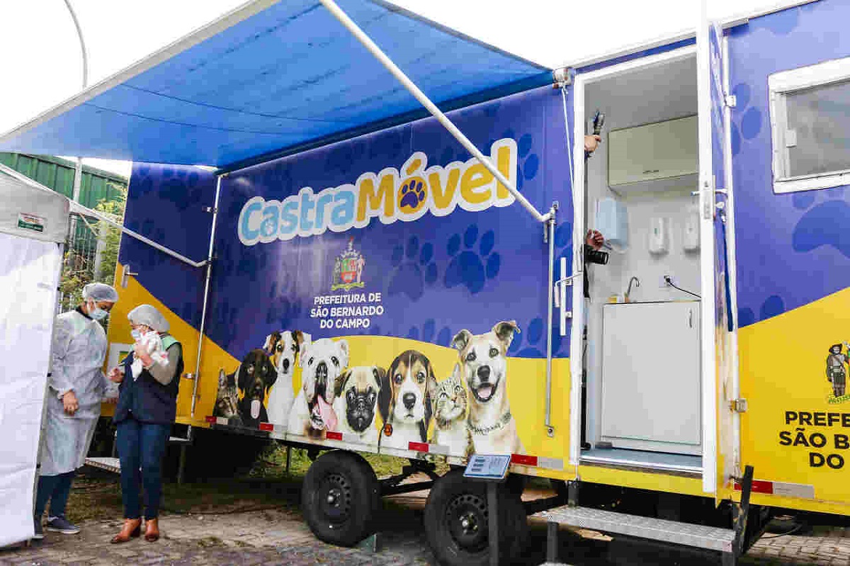 São Bernardo realiza mutirão de castração de cães e gatos