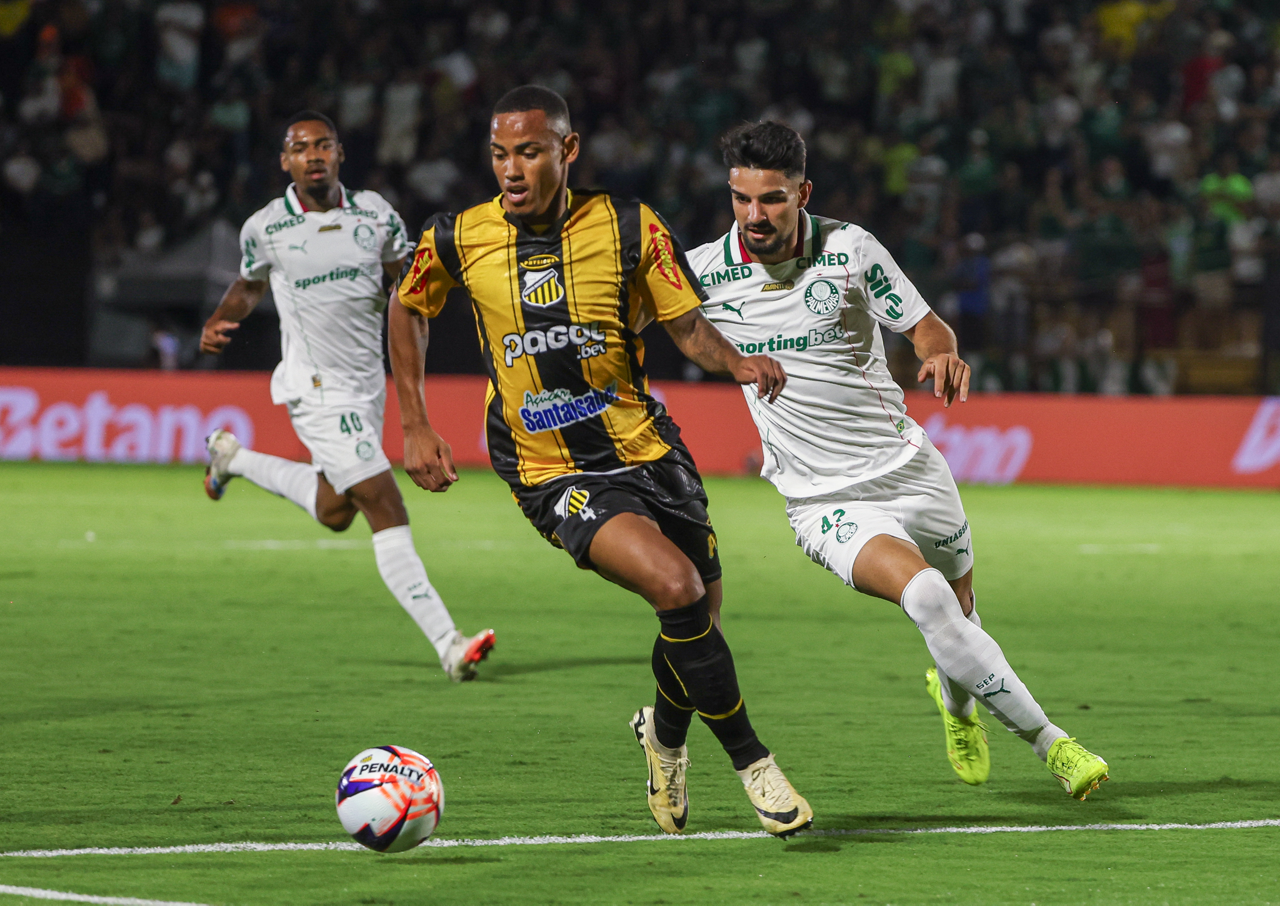 Palmeiras x Novorizontino: Saiba como assistir à partida ao vivo