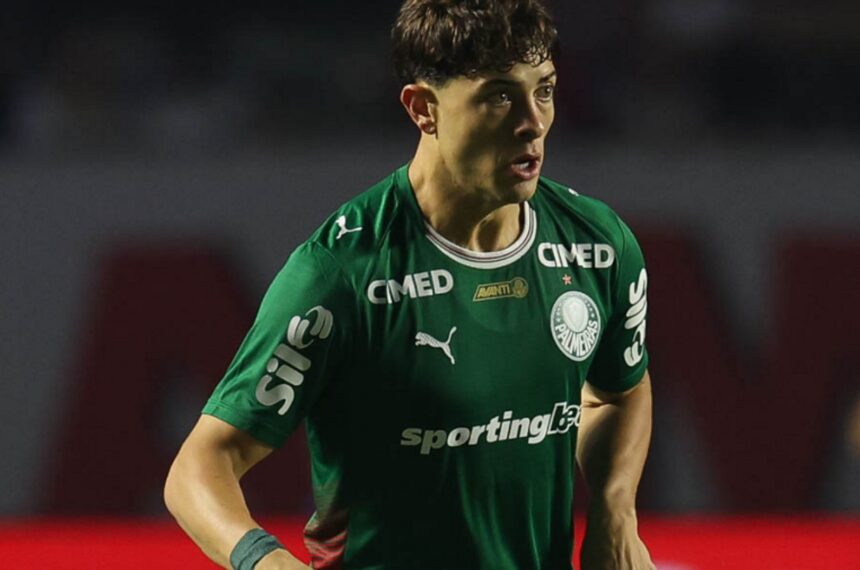 Palmeiras Giay