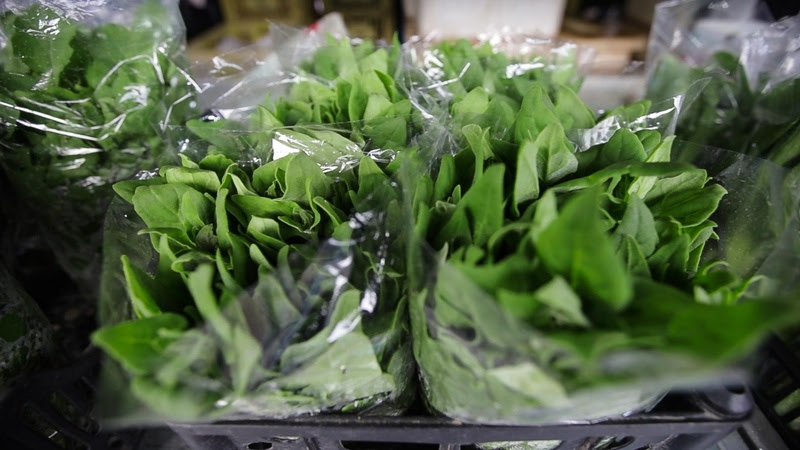 SP regulamenta sistema de inspeção para produtos de origem vegetal