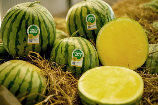 Fruit Attraction 2026: BASF apresenta modelo da melancia Pingo Doce