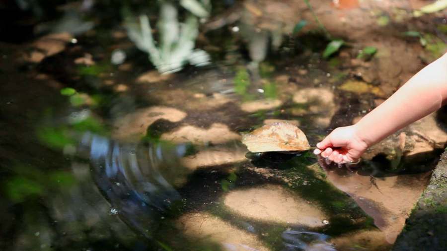 BRK explica ciclo do saneamento e preservação ambiental