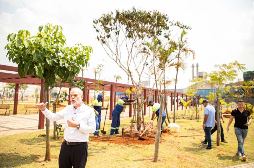 plantio de árvores - São Caetano