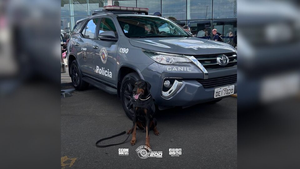 PM e PF intensificam fiscalização no Porto de Santos