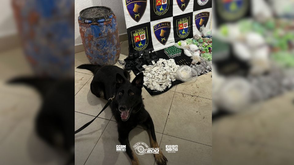 Operação em Osasco localiza drogas e munições