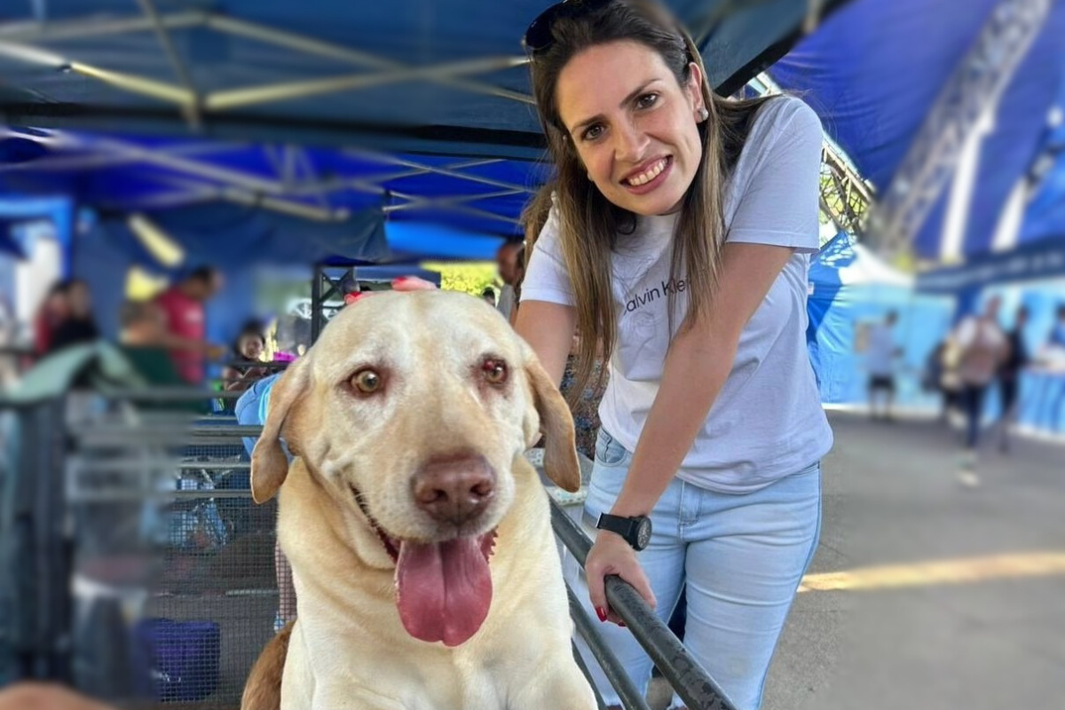Santo André cria Comissão Permanente de Proteção e Bem-estar Animal