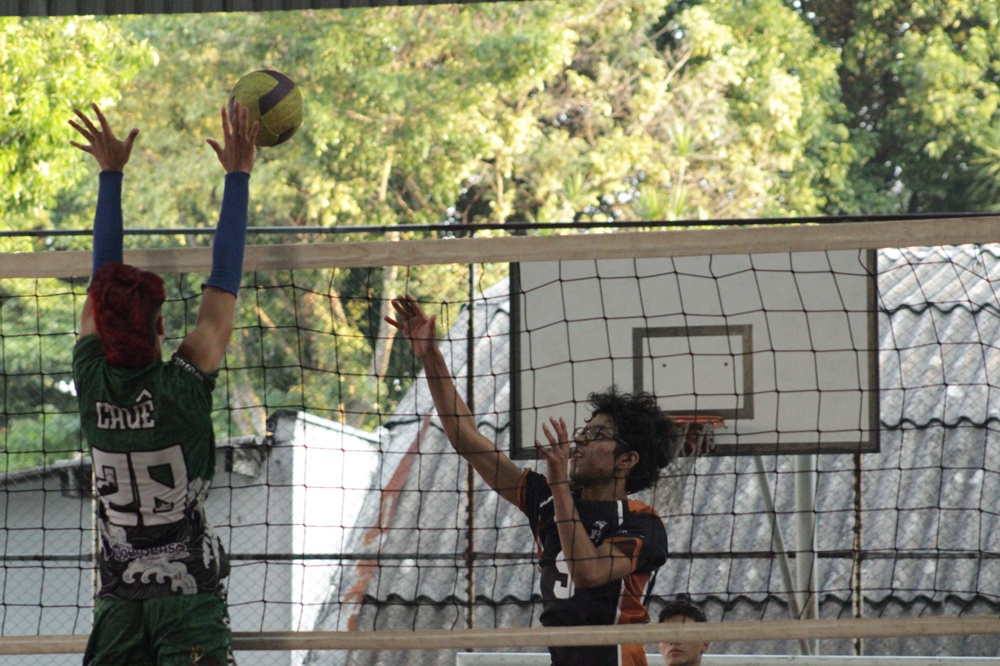 Rede Olímpica oferece aulas gratuitas de vôlei