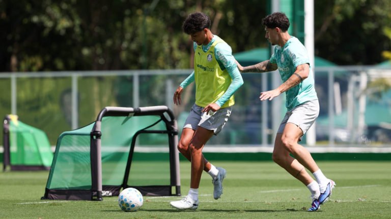 Palmeiras se reapresenta e tem mais um desfalque