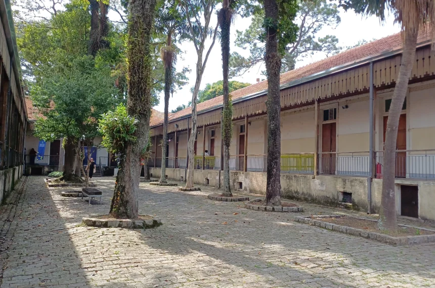 Revitalização museu dr. Octaviano Armando Gaiarsa