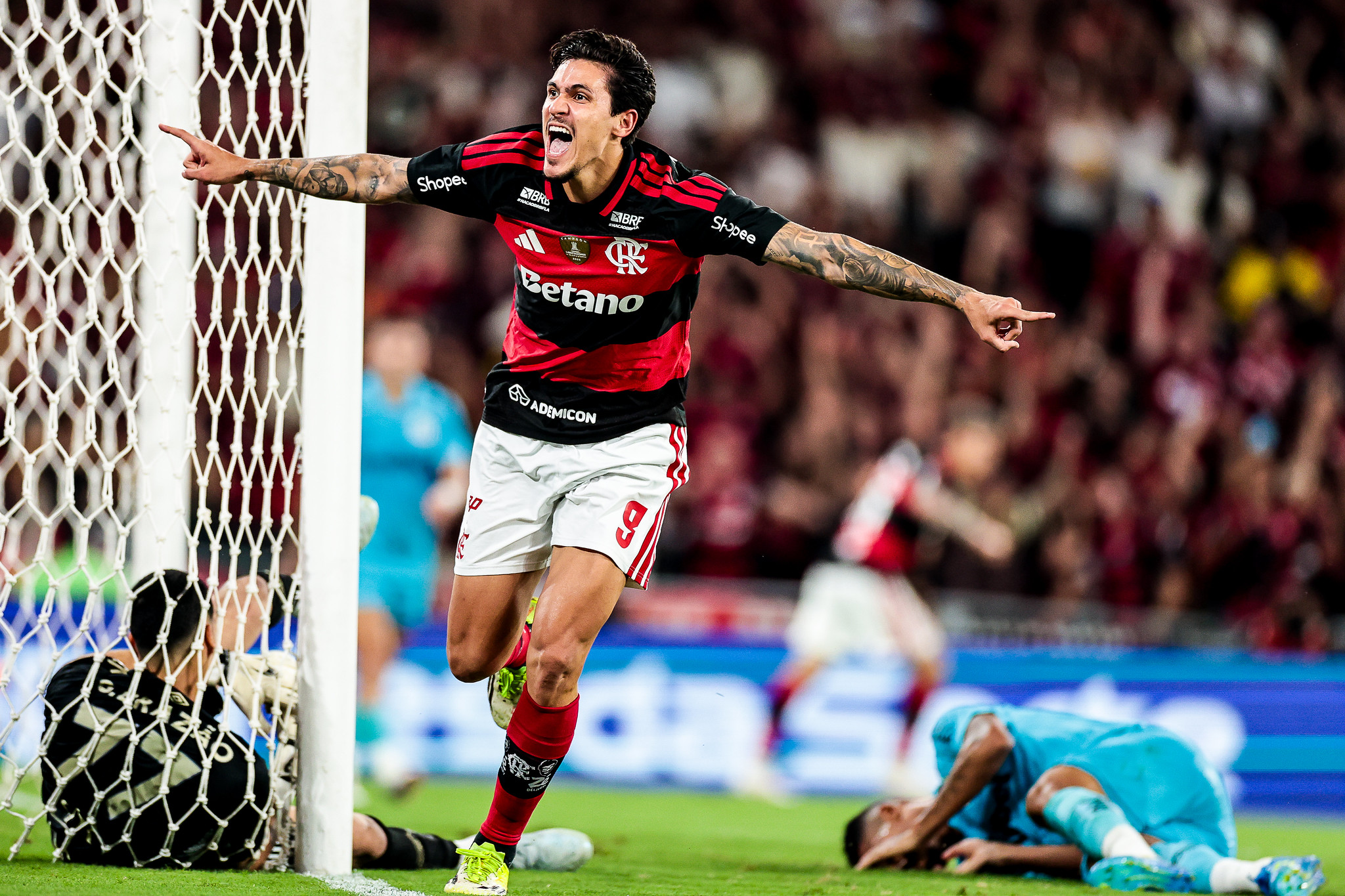 Santos leva virada do Flamengo em partida movimentada e com 2º tempo cheio de gols