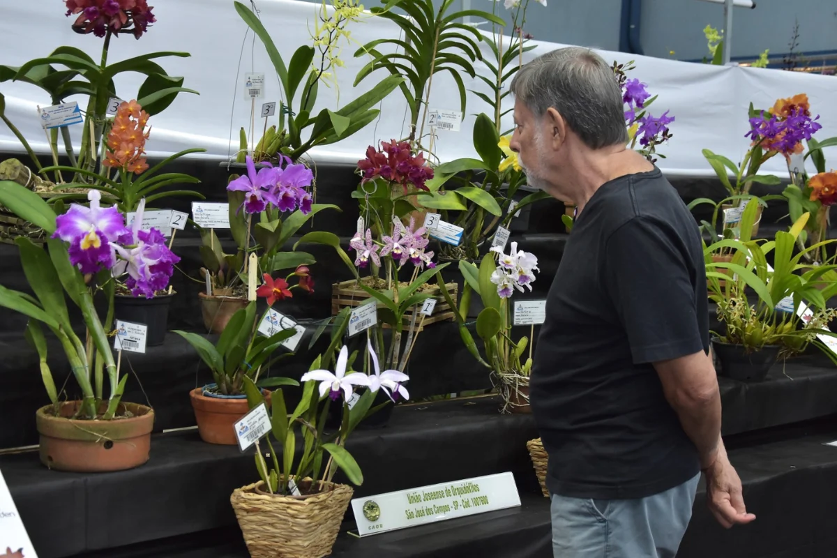 Festival de Flores de Santo André celebra sua 50ª edição