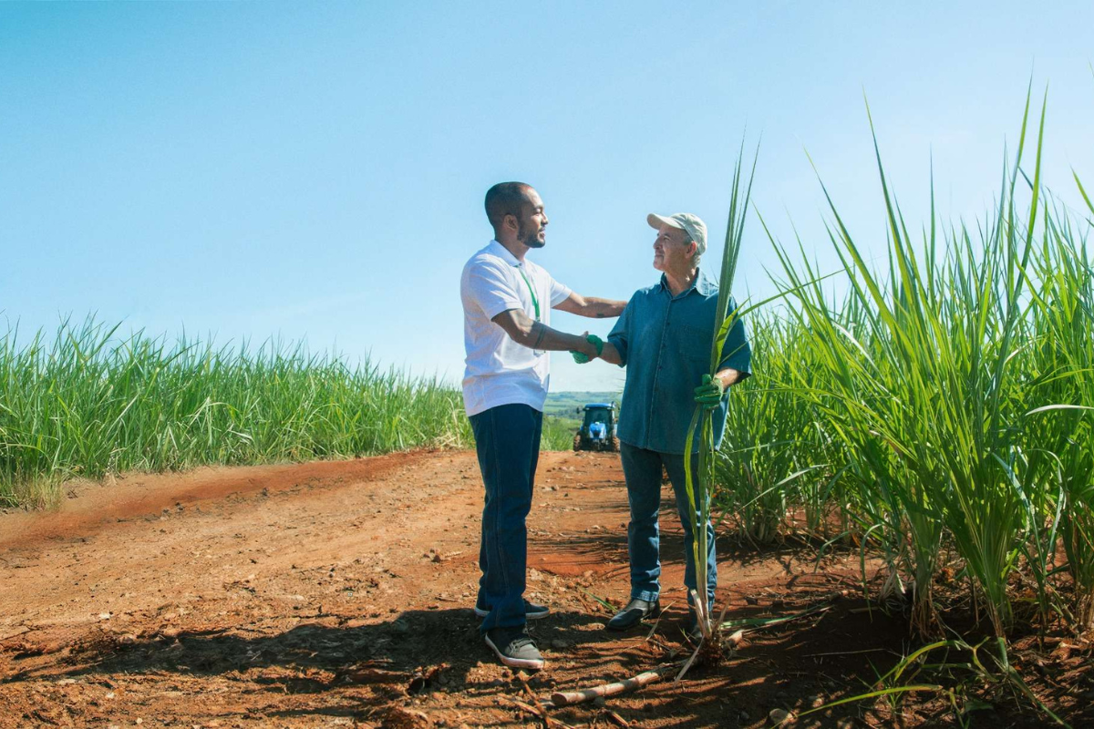 Crédito rural do Sicredi atinge R$ 48 bi na nova safra