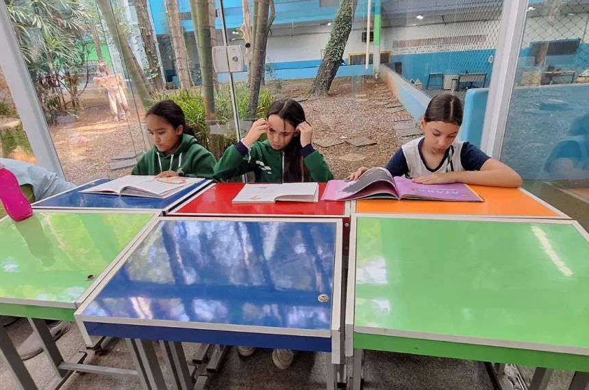 Dia Internacional do Livro