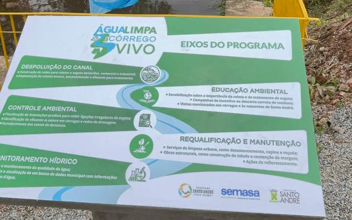 Quintal verde jardim Ana maria