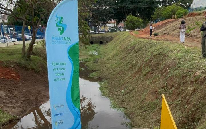 Quintal verde jardim Ana maria