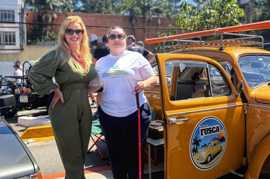 Adote um Cidadão Go!Mec Auto Peças