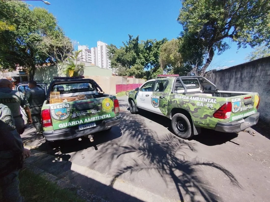Criação ilegal de aves silvestres é apreendido em São Bernardo