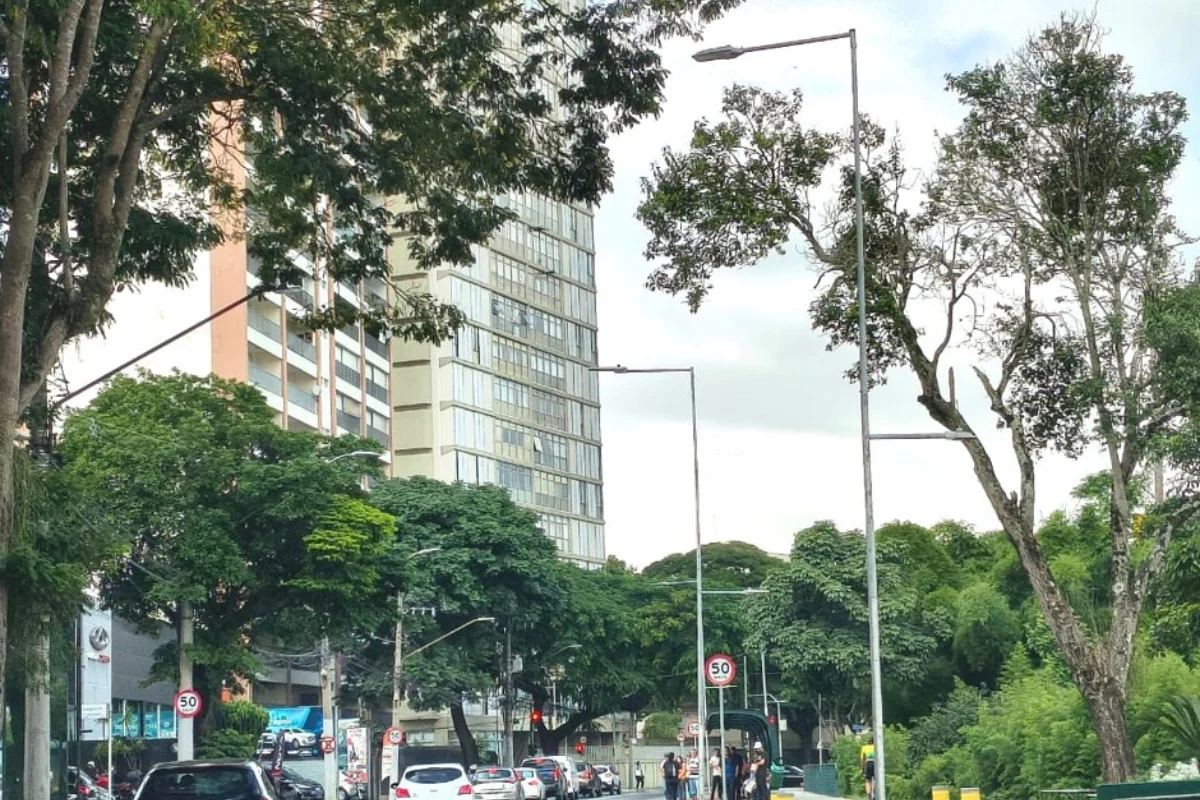 Avenida Madre Thereza terá interdição parcial neste domingo