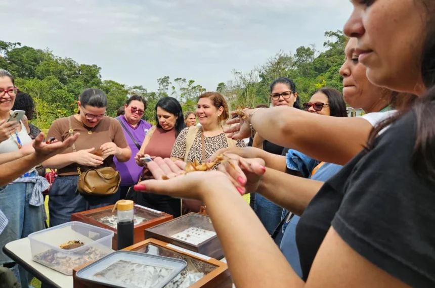 Educação Ambiental 