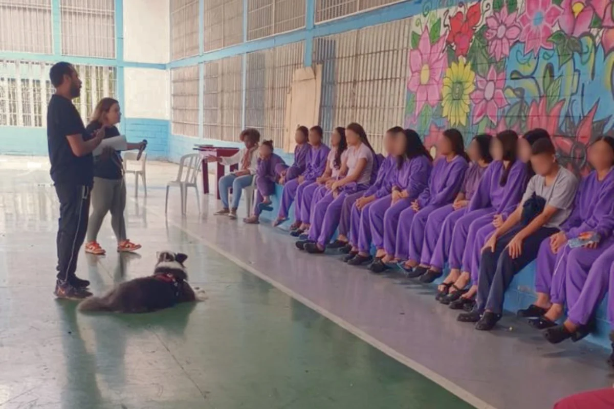 Fundação CASA de Diadema oferece curso de adestramento