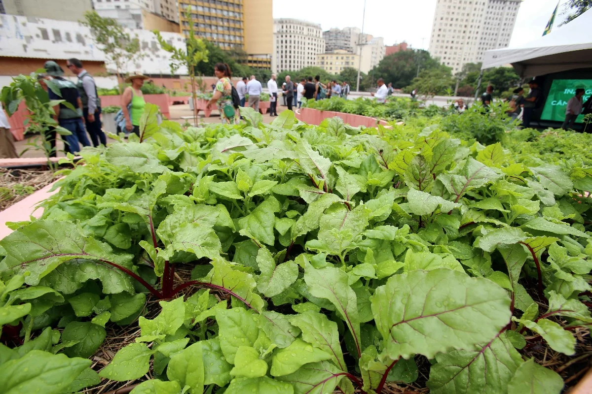 Prefeitura de São Paulo realiza quase 300 atendimentos agrícolas em março