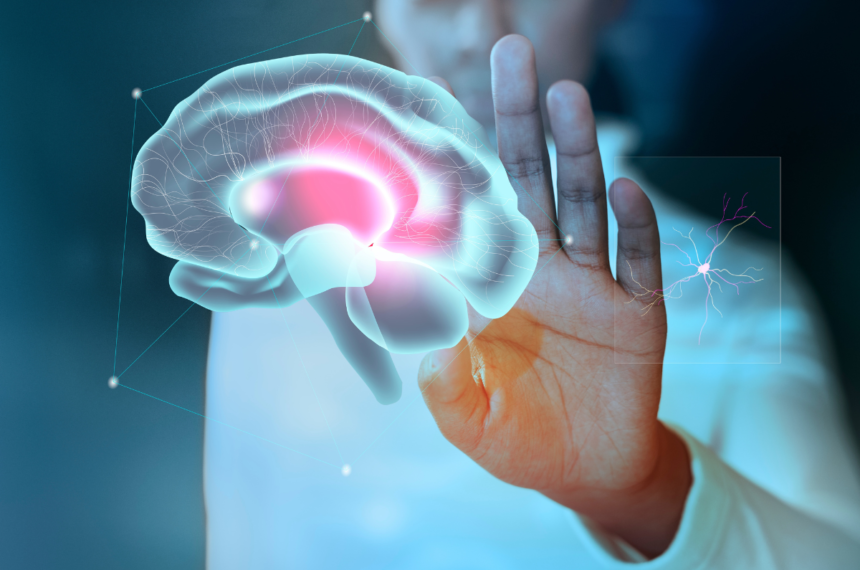 Psicólogos - Cérebro