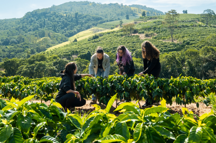 Expo Turismo Paulista
